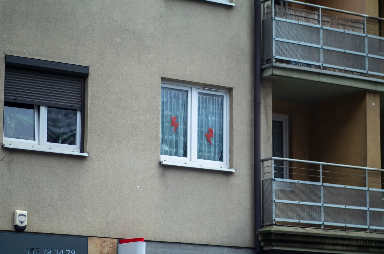 IMGP6551c.jpg