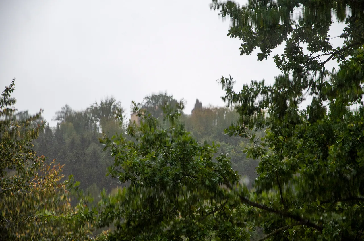 IMGP5896c.jpg
