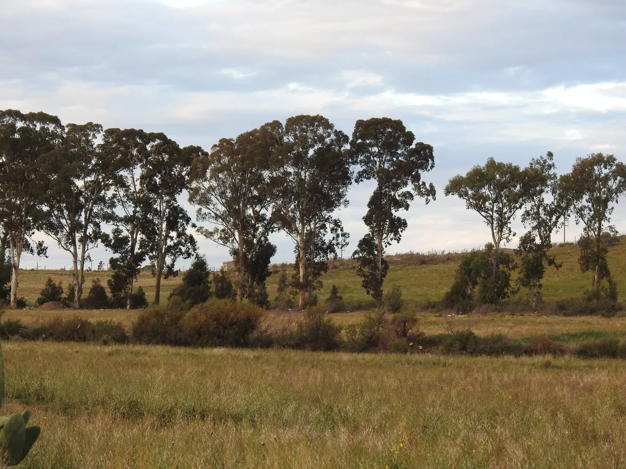 DSCN6301.JPG