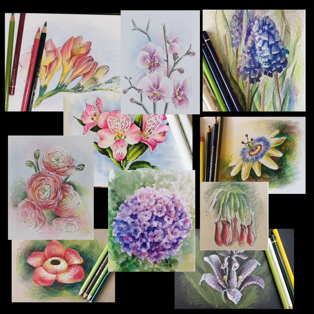 10flores.jpg