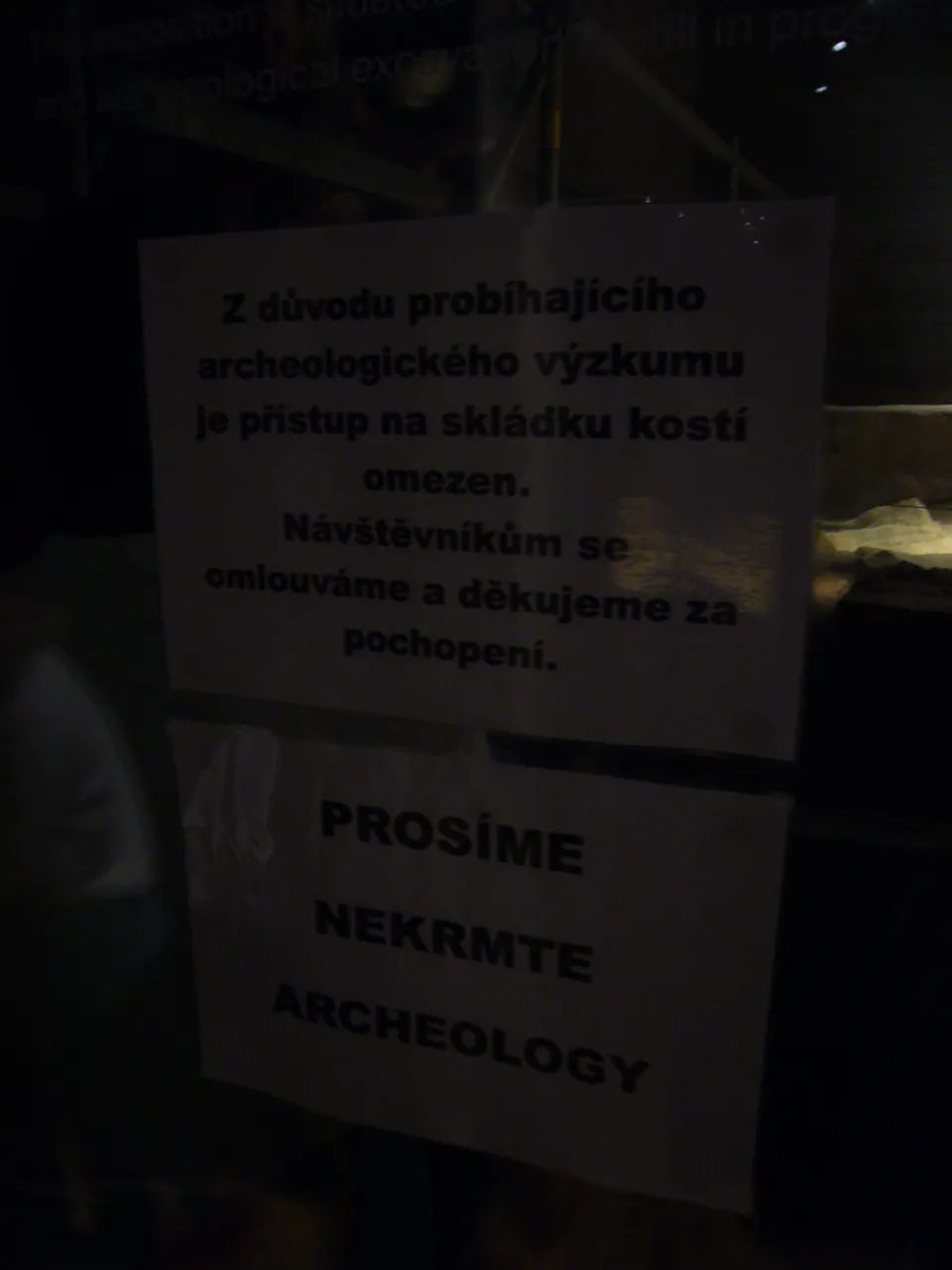 P1360022.JPG