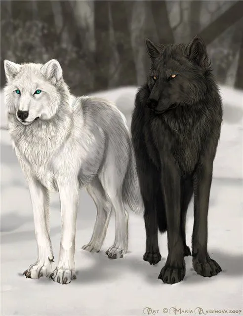 Cuento. Los dos lobos