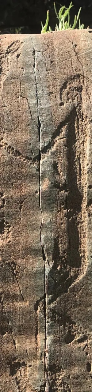 Ancient Petroglyphs