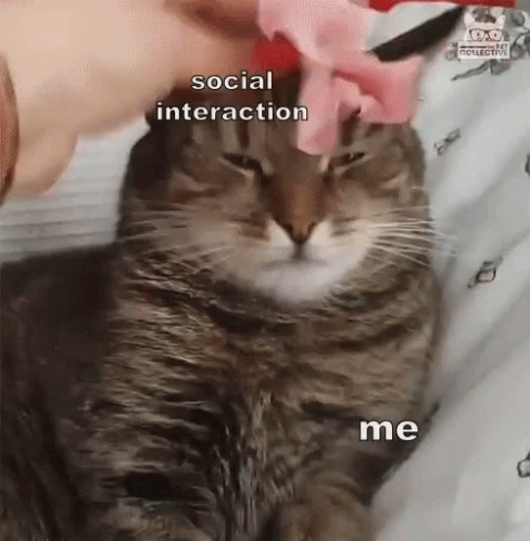 untitled.gif