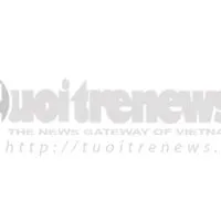 Shared From Dlike