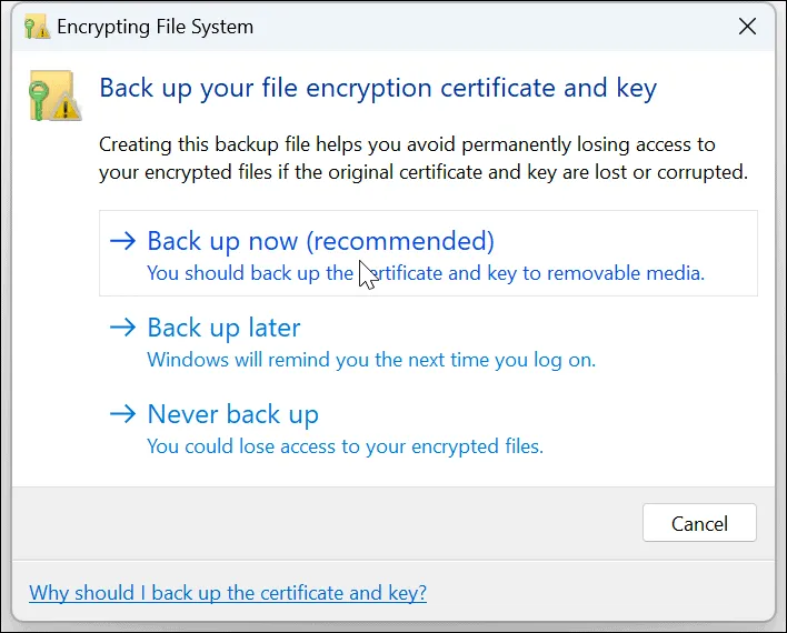 9-backup-now