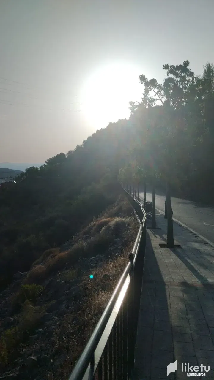 vThFGhWOH7J8fff7_WhatsApp_Image_2025-06-22_at_8.10.53_AM.webp