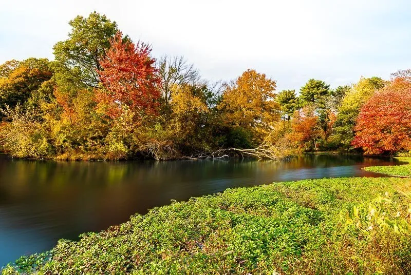 foliage autumn season Verona Park in New Jersey near montclair photography art
