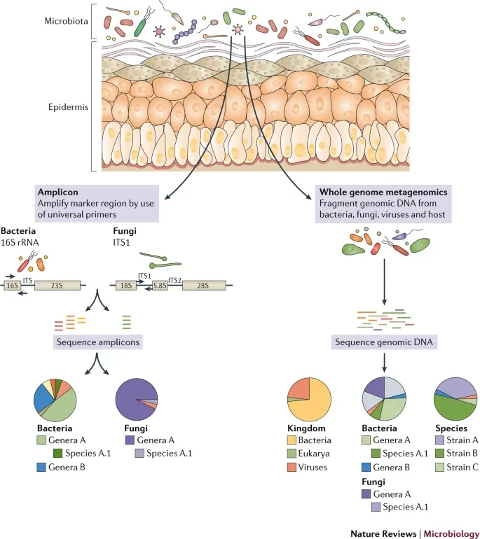 Microbiota