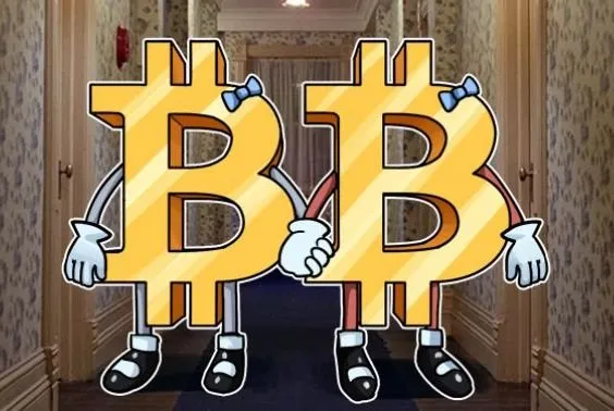 Bitcoin Twins
