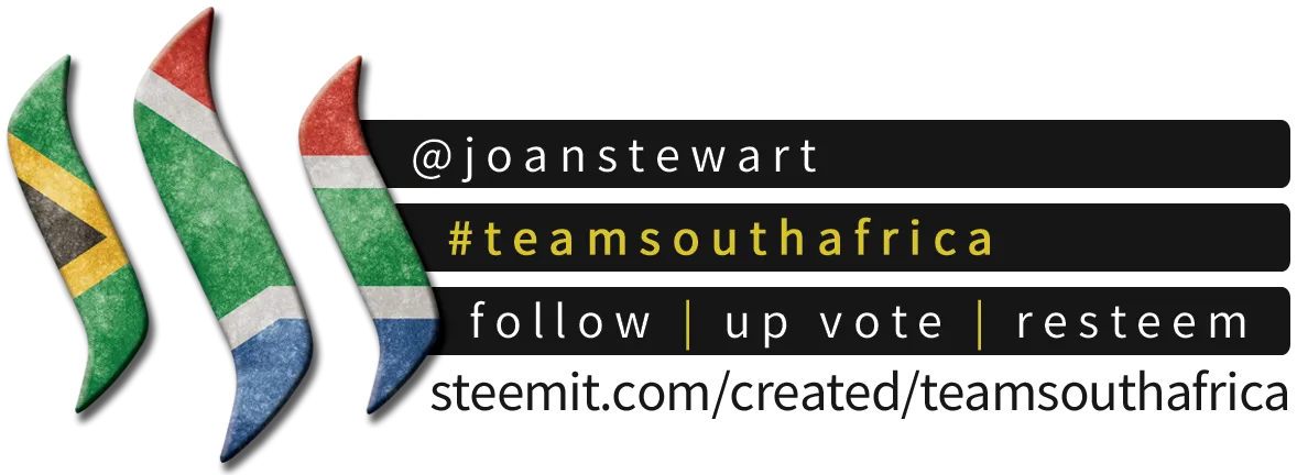 joanstewart
