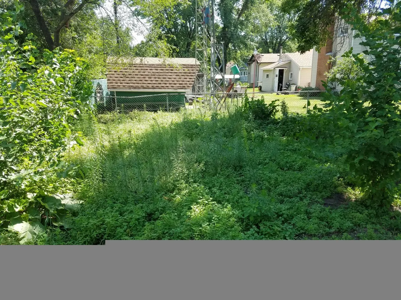 image of garden