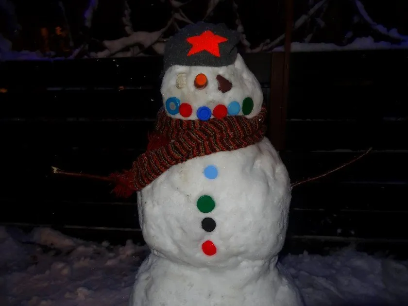 Mr. Snowy