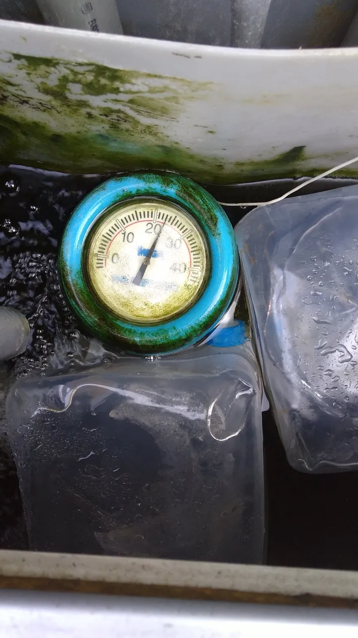 one degree drop