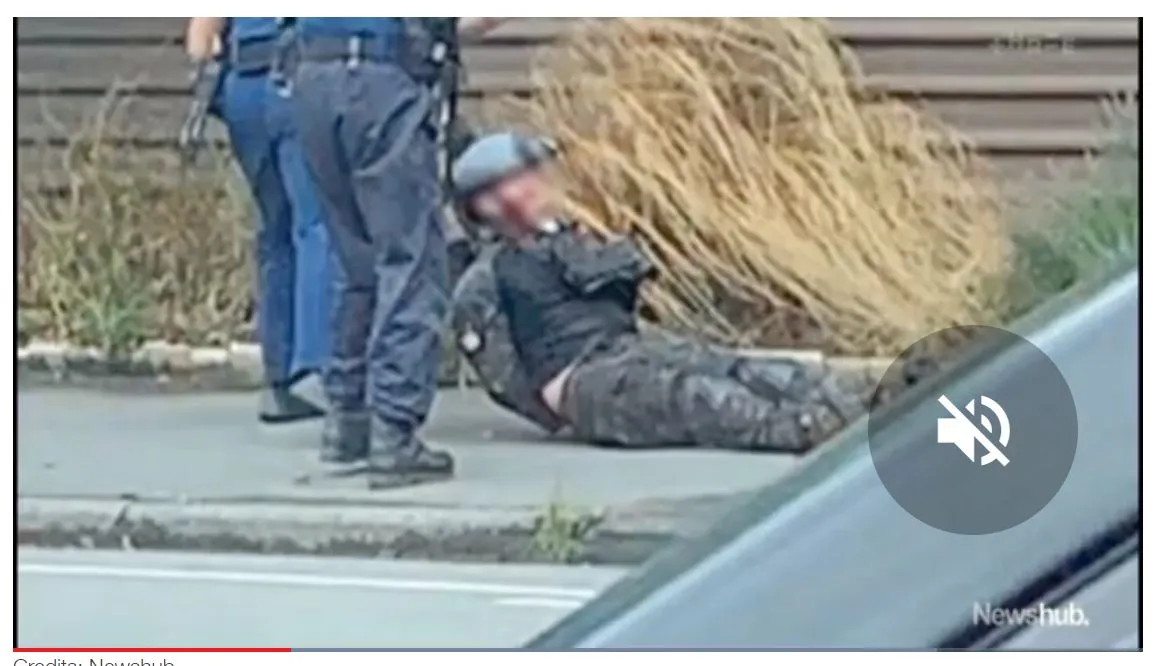 FireShot Screen Capture #343 - ''Hell of a coincidence'_ Officers who _' - www_newshub_co_nz_home_new-zealand_2019_03_hell-of-a-coincidence-officers-.jpg