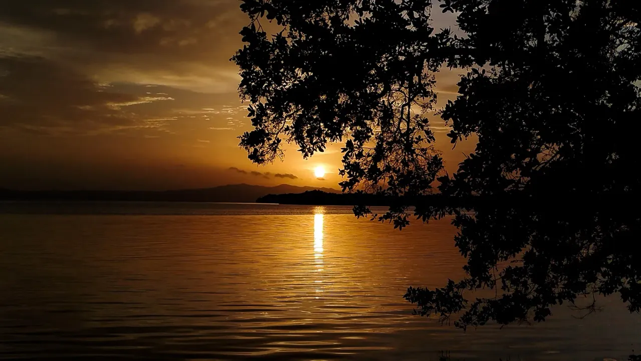 BEDNHjGb64xVszwn_IMG_20250620_060631.webp