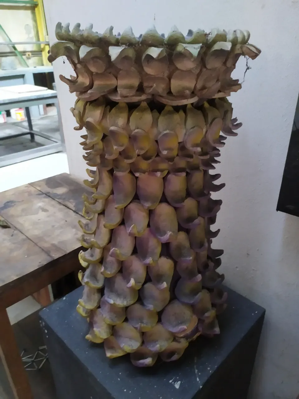 jdvdCgGtNrWkeY3L_IMG_20241111_161535.webp