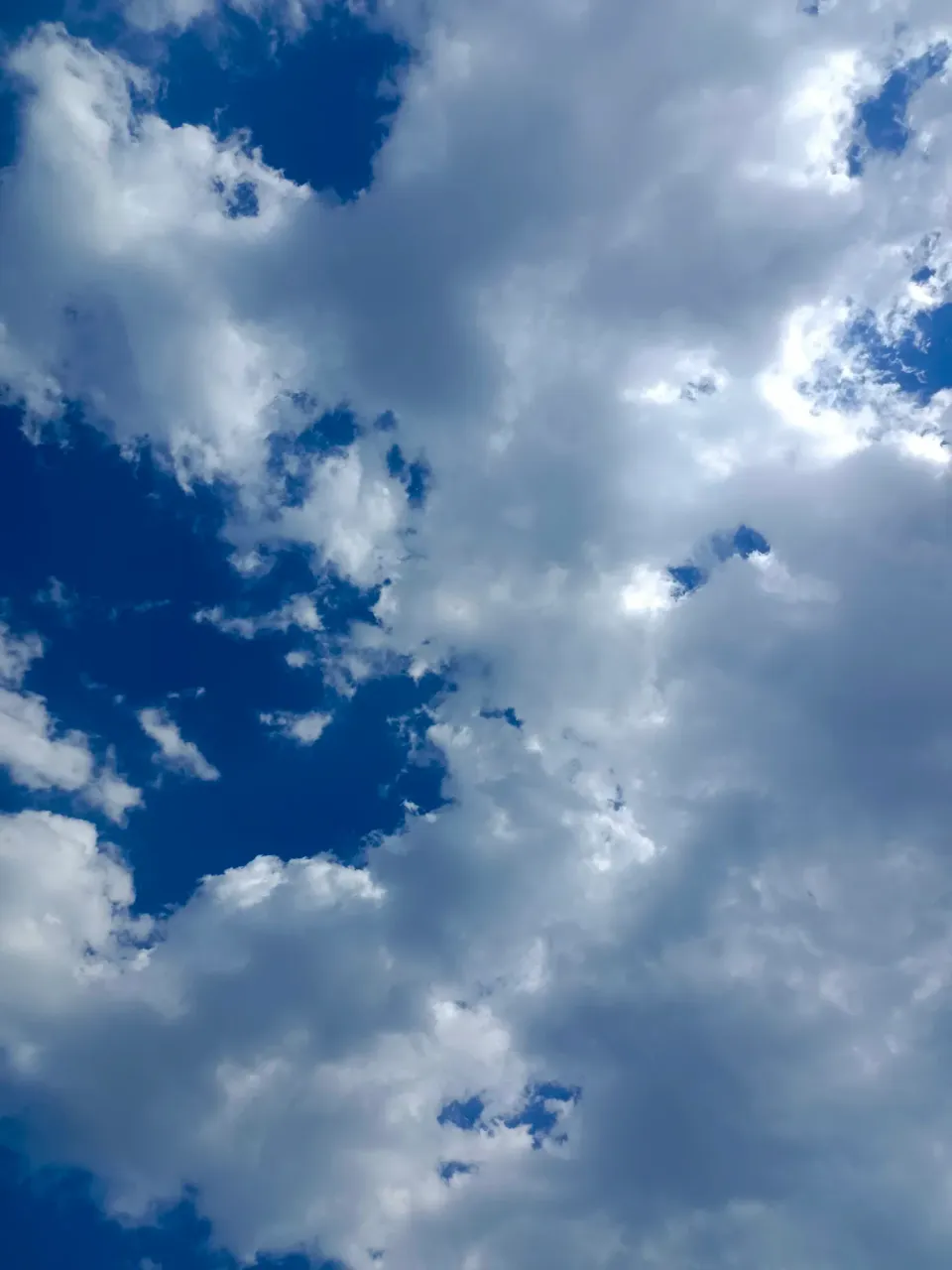 670B4K6BqE3FdOHj_IMG_20230715_161647.webp