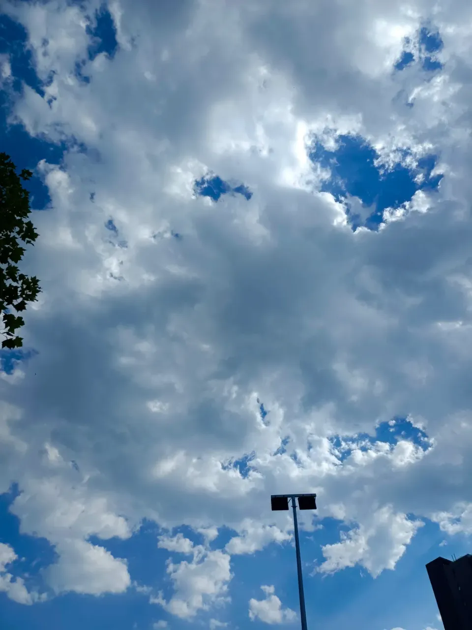 fkIjbq6hsuYLflWv_IMG_20230715_161720.webp