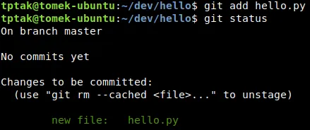 Adding hello.py to source control