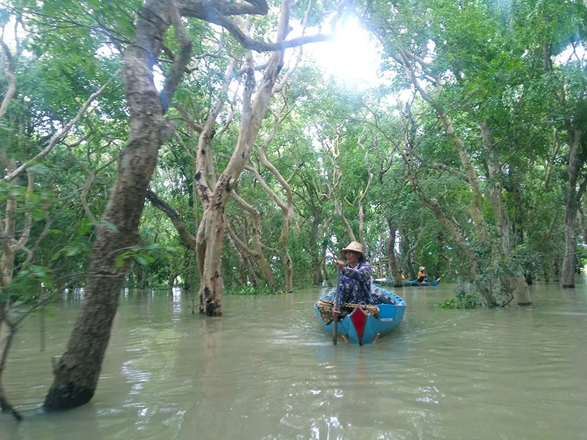 Kampong Phluk Mangrove 01 853x640.jpg