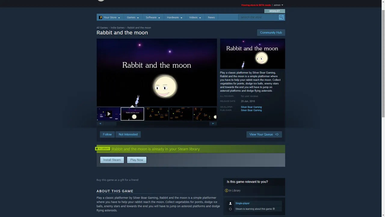 Rabbit and the moon steam store.png