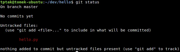 Checking the status of a repository
