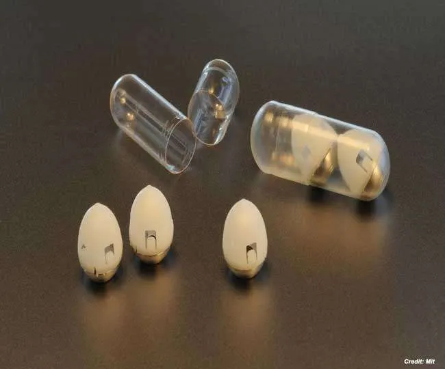 scientists prepare robotic capsules.jpg