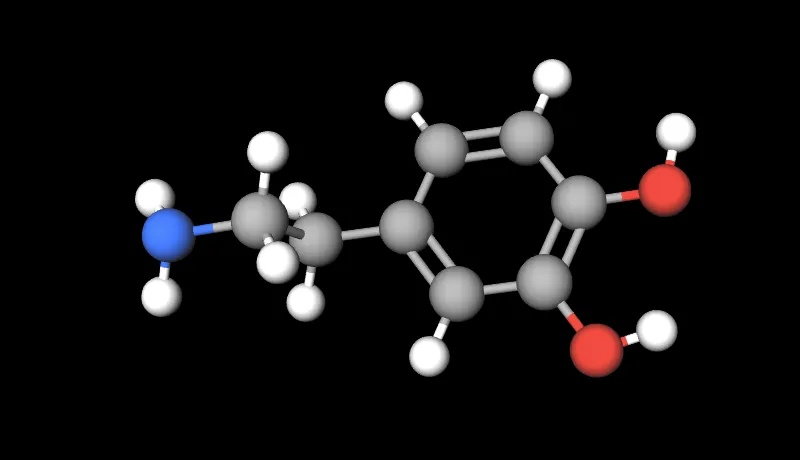 Picture Molecule Dopamine 800 460.png