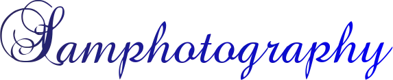 U5dquvuFTdYHPRSmNHZBcaFjAAFsttu_1680x8400.png