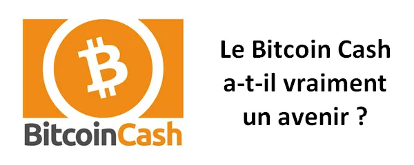 le_bitcoin_cash_a_t_il_vraiment_un_avenir.png