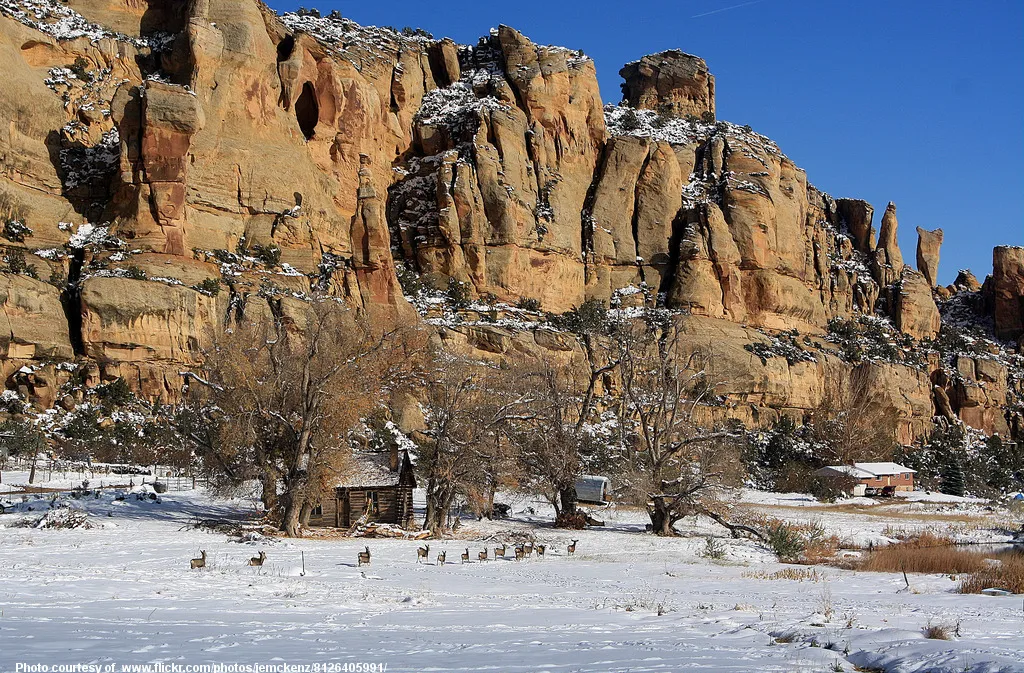 DeerCrossingSnowyFieldinWilderness-120218.jpg