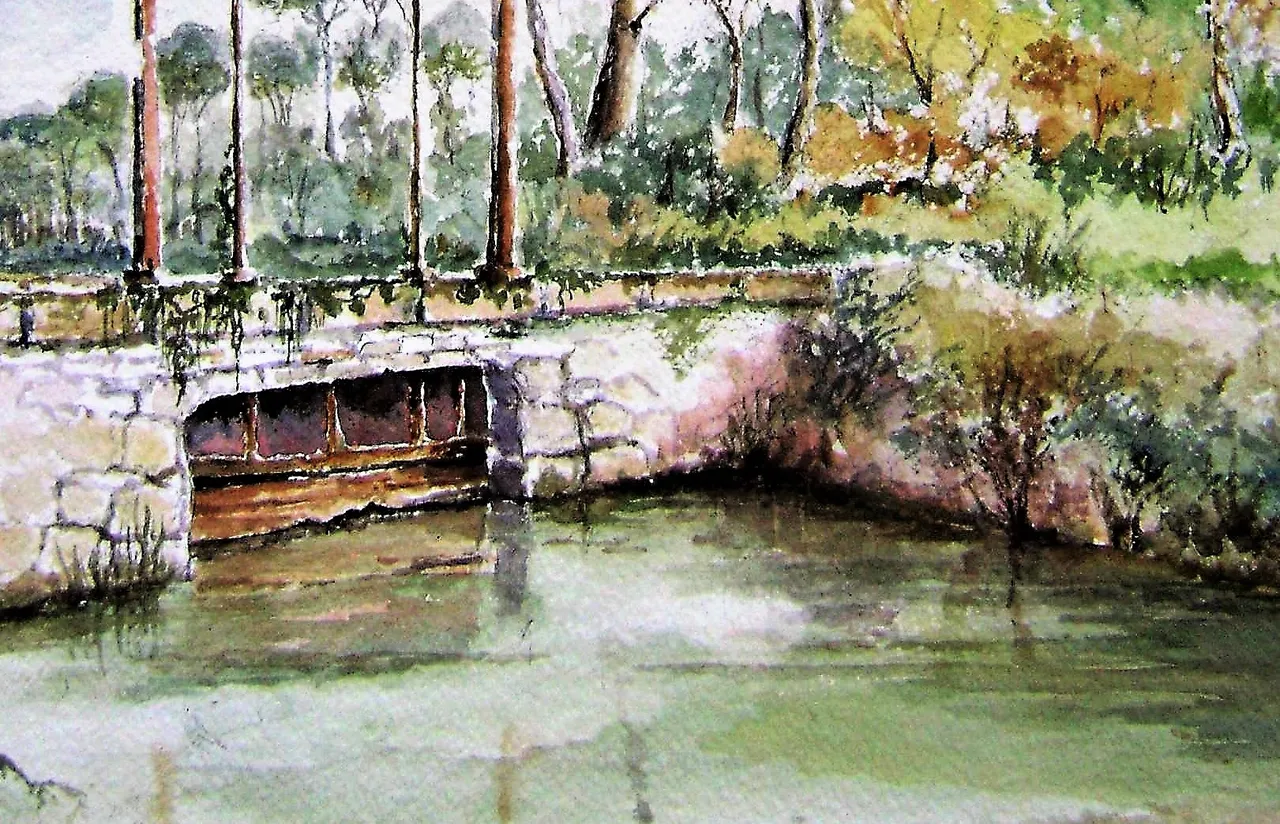 acquarello secondo premioo pontinia.JPG