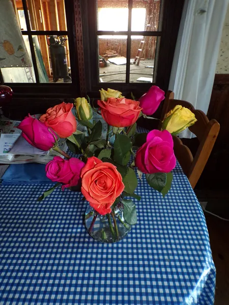 Birthday roses1 crop January 2020.jpg