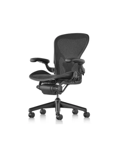 Herman-Miller-Aeron-Adjustable-Posturefit.jpg