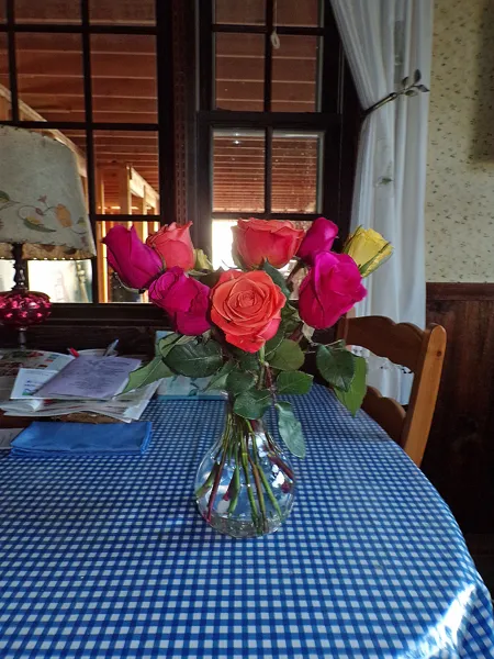 Birthday roses2 crop January 2020.jpg