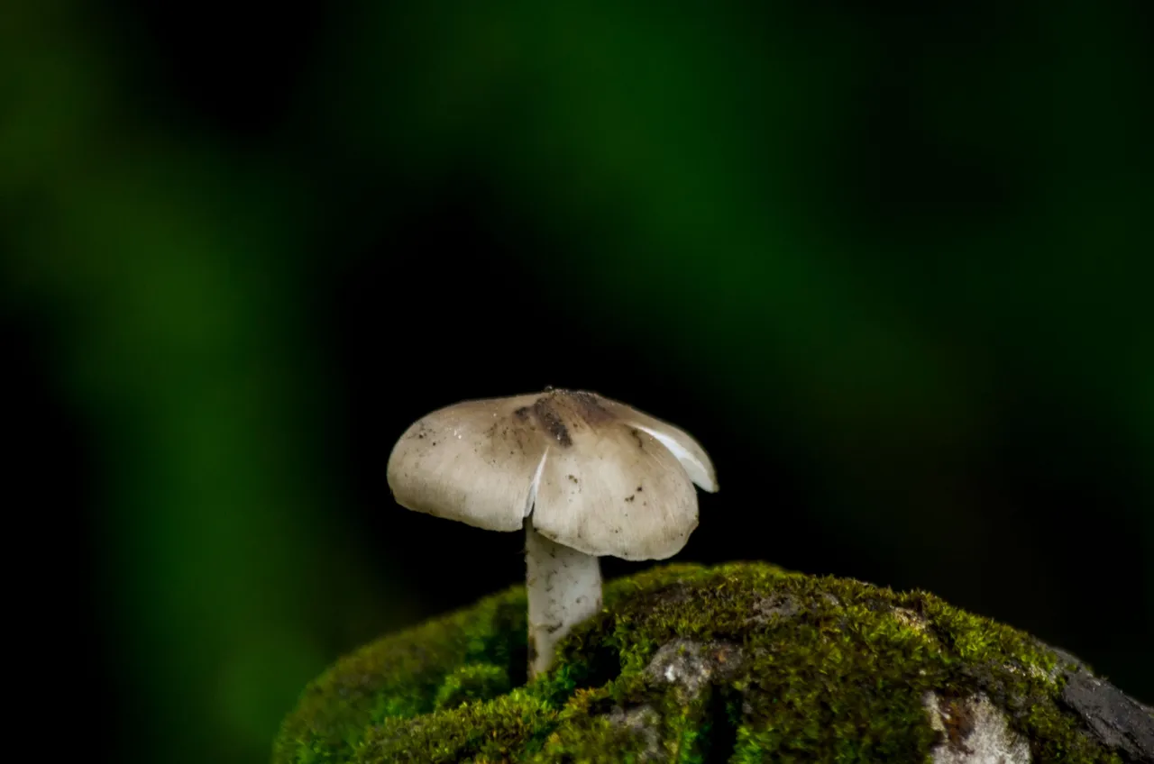 _AHW9605.jpg