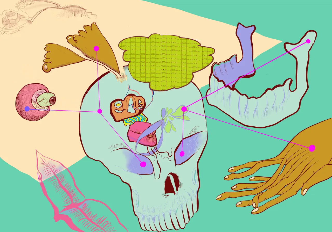 Organ Memory1.png