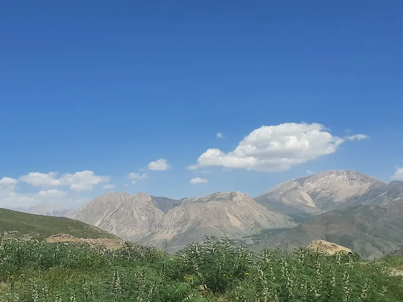 20220527_150530.jpg