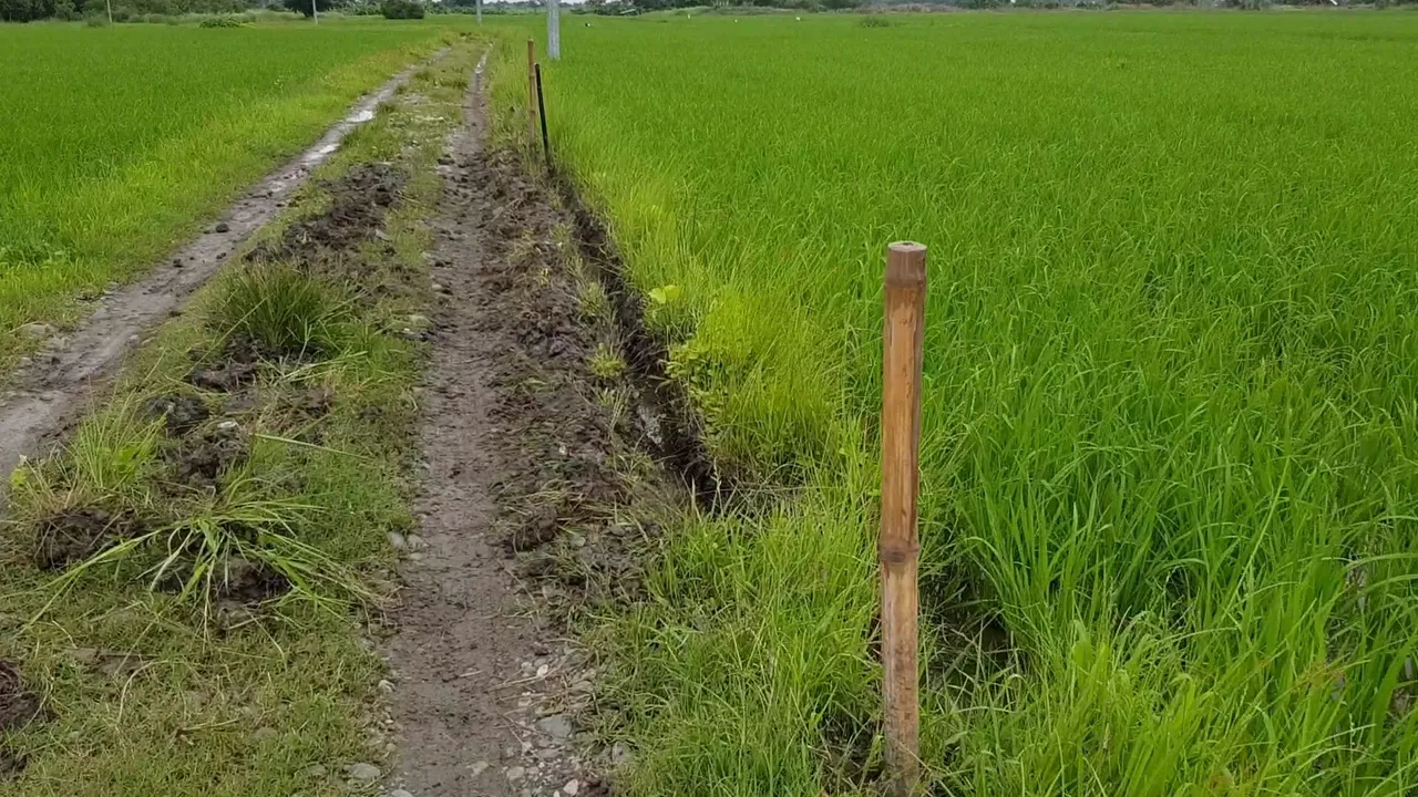 VideoCapture_20220718-133049.jpg
