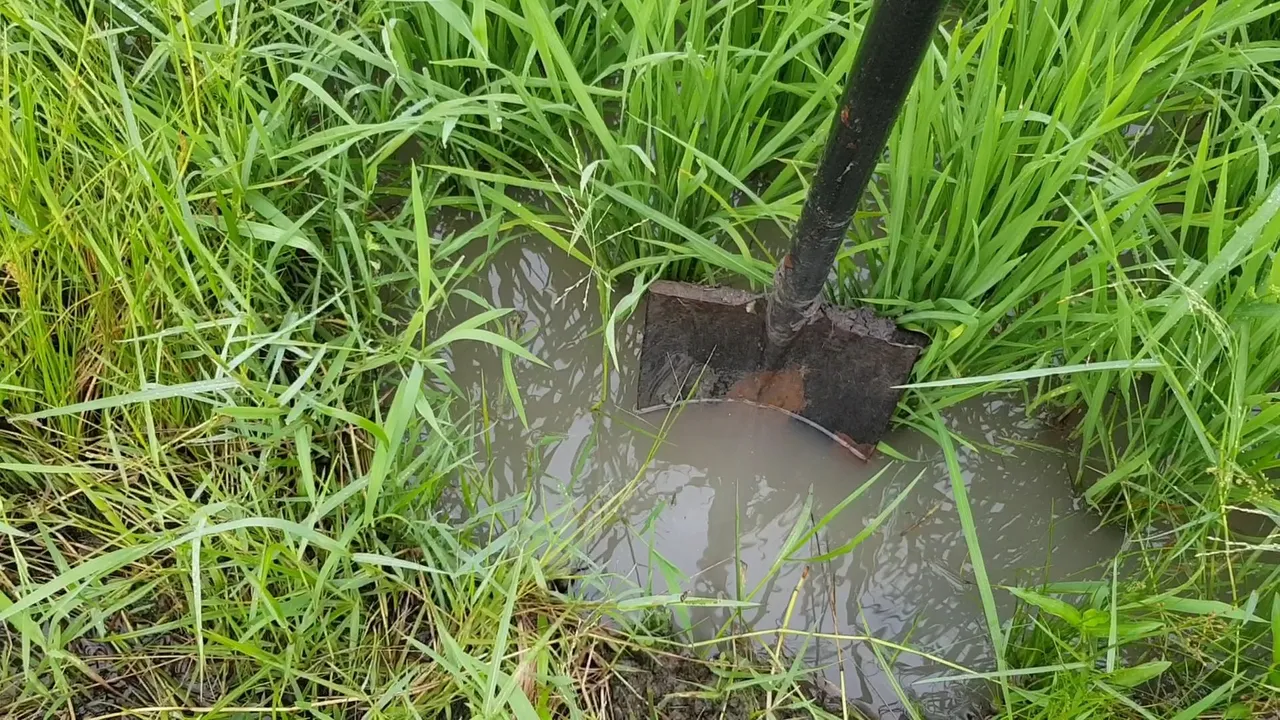 VideoCapture_20220801-172735.jpg