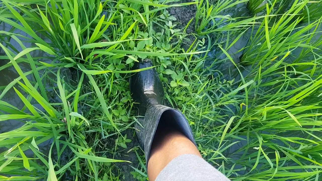 VideoCapture_20220722-135510.jpg
