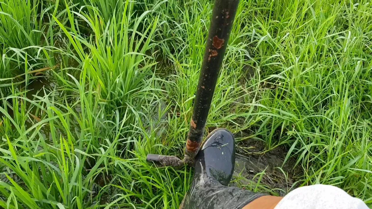 VideoCapture_20220805-205545.jpg