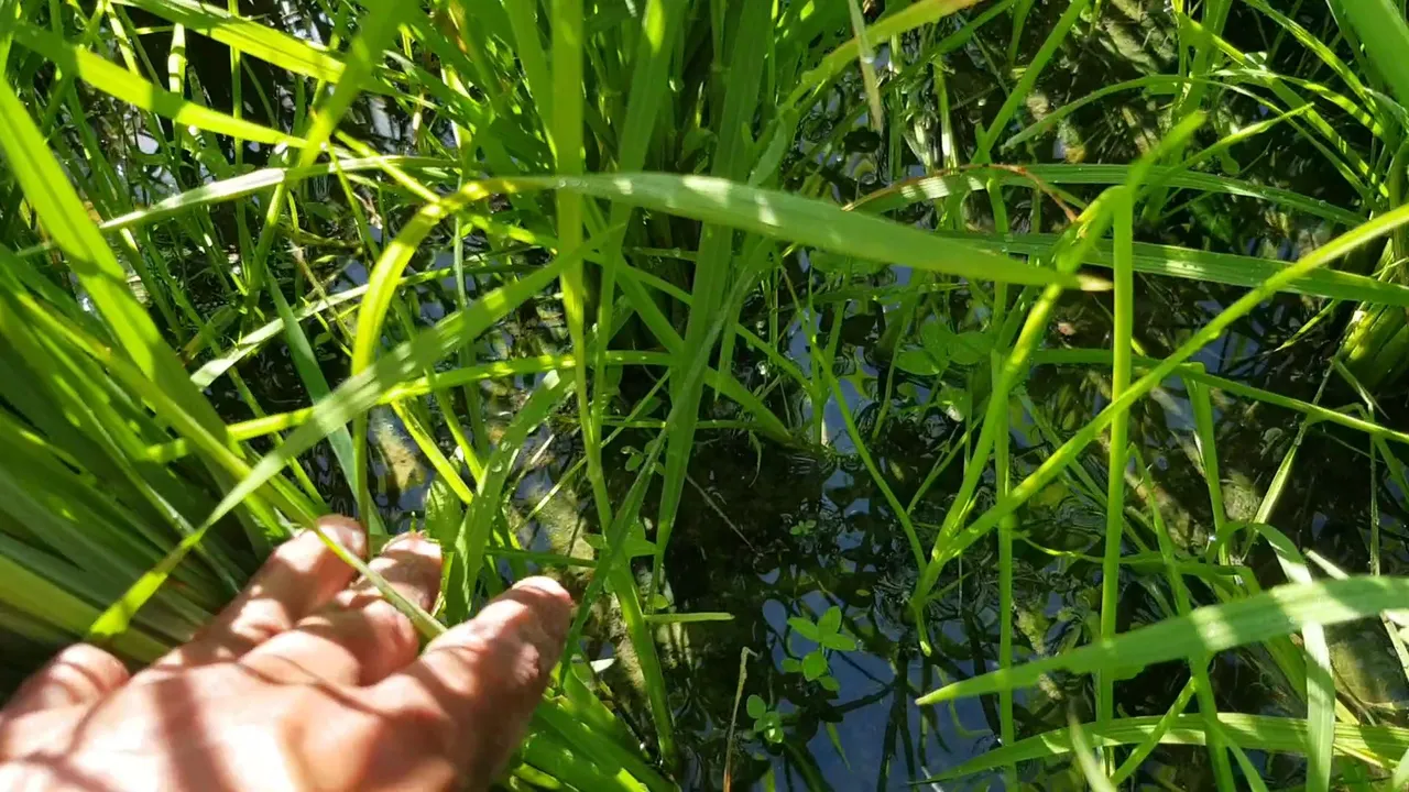 VideoCapture_20220728-214209.jpg