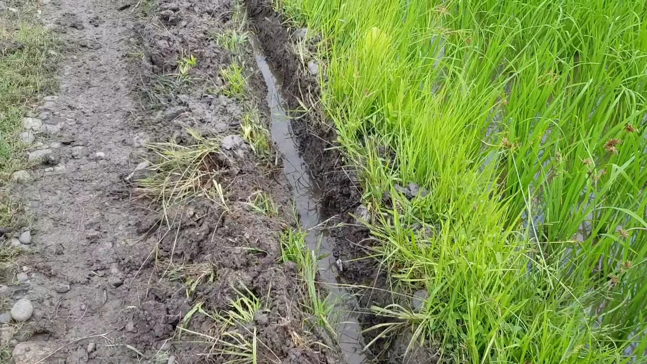 VideoCapture_20220718-133104.jpg