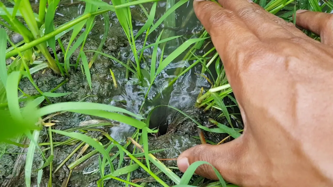 VideoCapture_20220801-173000.jpg
