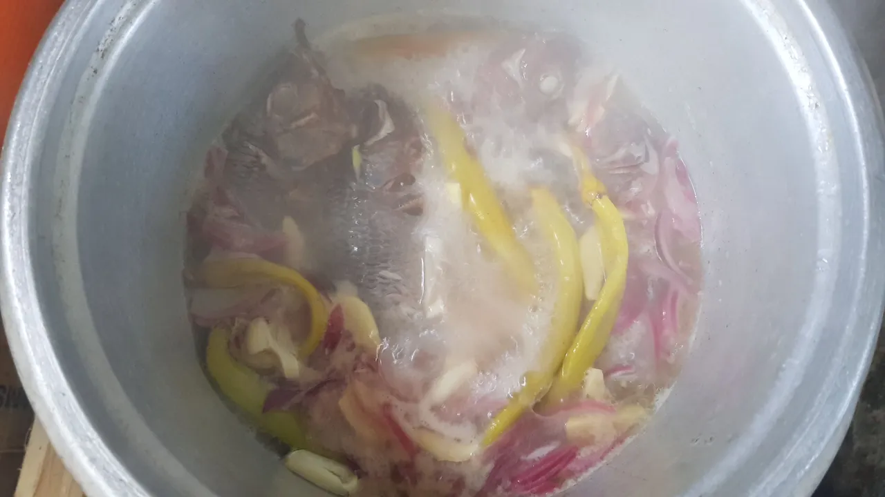 20220209_115507.jpg