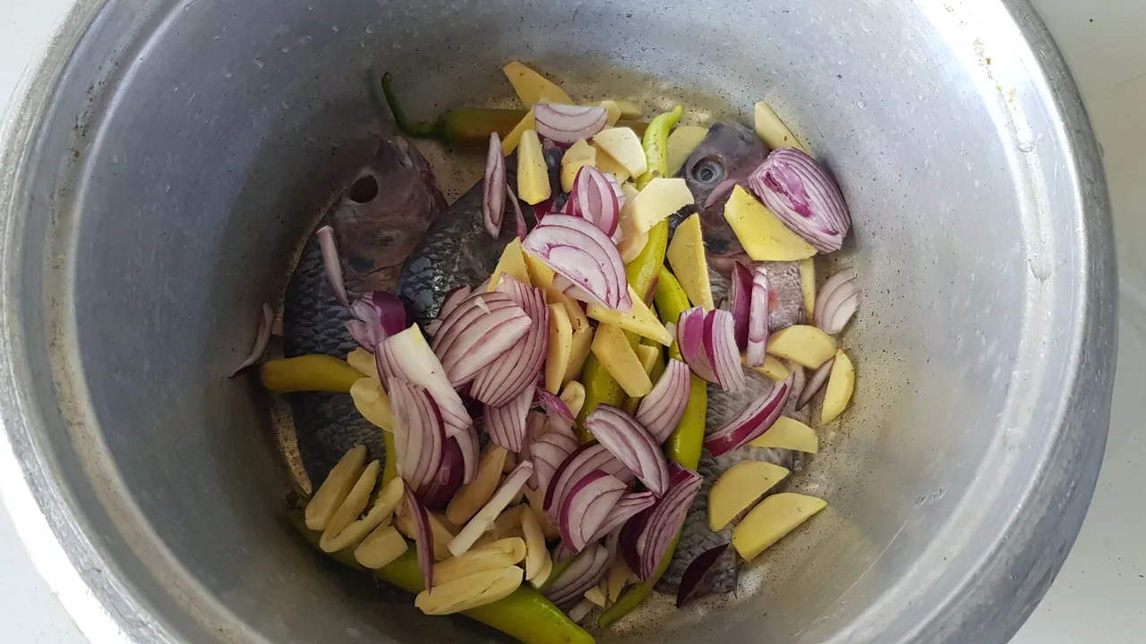 20220209_113819.jpg