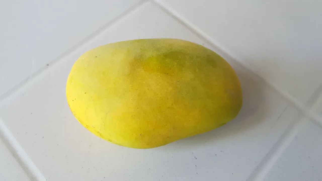 20220324_114941.jpg