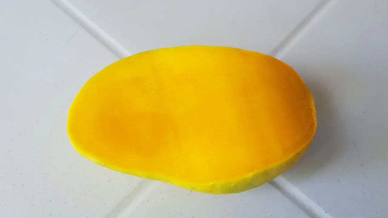 20220324_115135.jpg